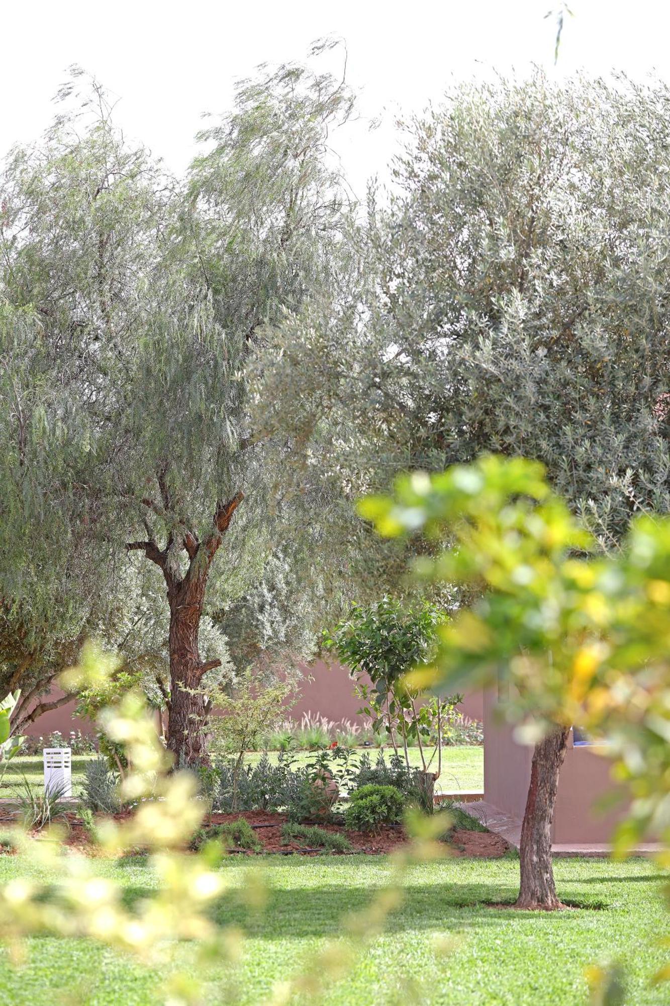 Domaine Du Douar Hotel Chwiter ภายนอก รูปภาพ